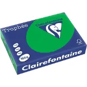 Clairefontaine Gekleurd papier Biljartgroen A4