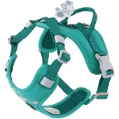 Hurtta Weekend Warrior II ECO Peacock Hondentuigje 75-100cm