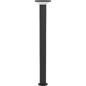 Eglo Rigosa LED tuinpadverlichting, zwart, hoogte 100 cm, metaal, zwart, metaal, Modern