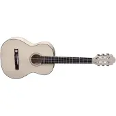 Pro Natura Klassieke Gitaar Silver 3/4 3/4