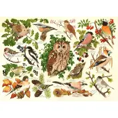 The House of Puzzles Woodland Birds Puzzel 500 XL stukjes