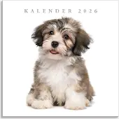 De Hobbit Honden Kalender 2026