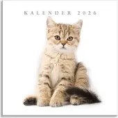 De Hobbit Katten Kalender 2026