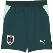 Puma Sportbroek 'Österreich 2026' pastelgroen / donkergroen