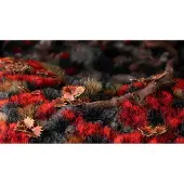 Gamers Grass Alien Blood Moon Wild (6mm)