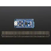 Adafruit Pro Trinket 3V 12MHz van 2010