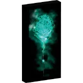 Joy toy Harry Potter Canvas Poster (met Light) Poster & Wallscrolls