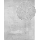 Tapis.fr Tapijt Calissa zilver 160x220 cm