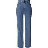 Dickies Jeans 'Ellendale' blauw denim