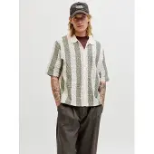 Jack & jones Overhemd 'JORTYLER' beige / pastelgroen