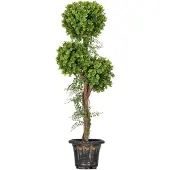 HOMCOM -Kunstplanten-PE-30x30x115cm-Groen