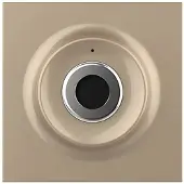 Livolo | Goud | SR | Module | Contactloze schakelaar - Bekijk hier!