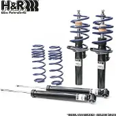 H&R 40376-2 Schokdemper met veer