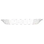 VAN WEZEL 1648590 Ventilatiegrille, bumper