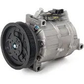 RIDEX 447K0480R Aircopomp