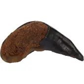 Flamingo NATURE SNACK BUFFELHOEF MET LONG