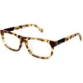 Diesel DL5107 F Blonde havana 57/16/150 MAN Brilmonturen