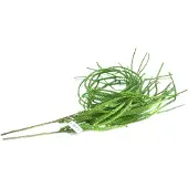 Dpi Vetplantenrank Groen vertakt & naaldachtig 115 cm - Kunstplanten