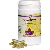 Holisan Punarnava Capsules