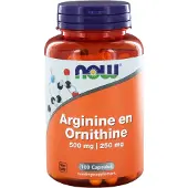 Now Arginine & Ornithine 500/250 Capsules