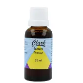 Clark Solidago Tinctuur
