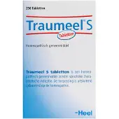 Heel Traumeel S 250st