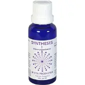 Vita Syntheses 1 micro organismen 30 ml