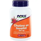 Now Choline en inositol 500mg (100 vegicaps)