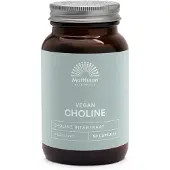 Mattisson Vegan vitacholine 400mg