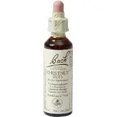 Bach Flowers Bach Flower Remedy 07 Chestnut Bud | 20 ml