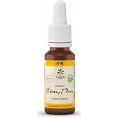 Bach Bloesems Original Nr. 6 Cherry Plum | 20 ml