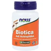 Now Biotica 4x6 Acidophilus Capsules