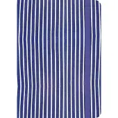 Uitgeverij Karmijn Carmyne's Journal A5 Tomoe River Notitieboek - Blue Stripes