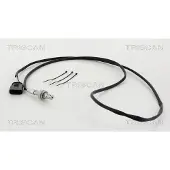TRISCAN 8845 29031 Lambdasonde