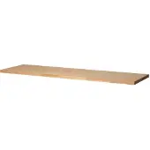 Promat /Tecwerk Werkblad | BK 650 | B2000xD700xH40mm | beukenhout massief - 9000425544