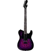 LTD Guitars Te200Dx Purple Burst
