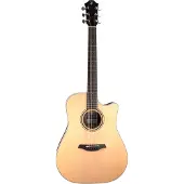 Furch Green Dc-TR a Dreadnought elektrisch-akoestische westerngitaar met gigbag