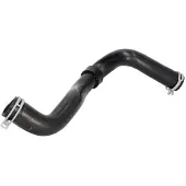THERMOTEC DWR250TT Radiateurslang
