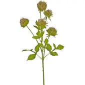 Easyplants | Kunstbloem Distel 66 cm bruin | Zijde | Nepbloemen | bruin | Onderhoudsvrij | Kant-en-klaar