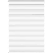 vidaXL Zebra Blind 105x100 cm stofbreedte 100,9 cm polyester wit
