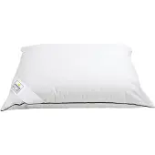 Vitality Pur Anti-Allergisch Hoofdkussen – 40x80 cm - 100% Anti-Huisstofmijt & Bacteriën – Zacht & Comfortabel – Voor Alle Slaaphoudingen
