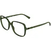 Longchamp LO2802 55/16/145 Transparant groen Bio inj-g820 DAMES LO2802