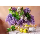Castorland puzzel lilac stilleven - 500 stukjes legpuzzel.