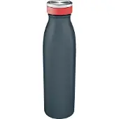 Leitz Cosy geïsoleerde waterfles fluweelgrijs 500 ml