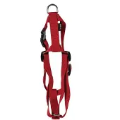 Martin hondentuig basic nylon rood