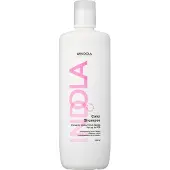 Indola Care & Style Color Shampoo 1000 ml