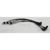 TRISCAN 8860 29031 Bougiekabels