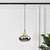 LumenXL 1-fase rail hanglamp Nill goud met smoke glas en spiegeleffect - breed glas