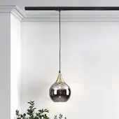 LumenXL 1-fase rail hanglamp Nya goud met smoke glas en spiegeleffect - rond