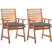Syfax Tuinstoelen 2 st met kussens massief acaciahout